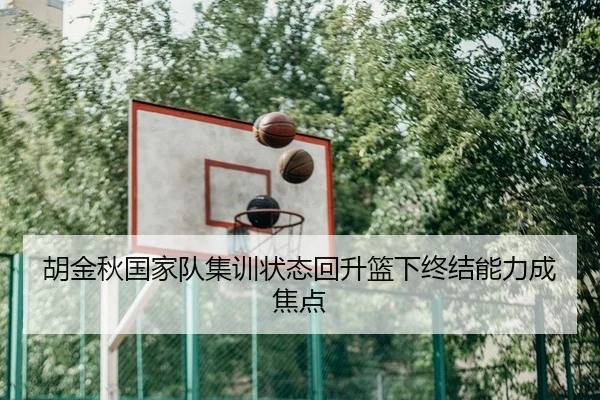 胡金秋国家队集训状态回升篮下终结能力成焦点