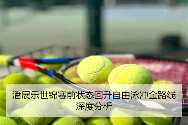 潘展乐世锦赛前状态回升自由泳冲金路线深度分析